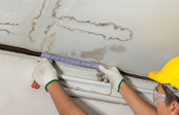 Reliable Flood Cleanup contractor in Brownsville, KY by Water Damage Irwin